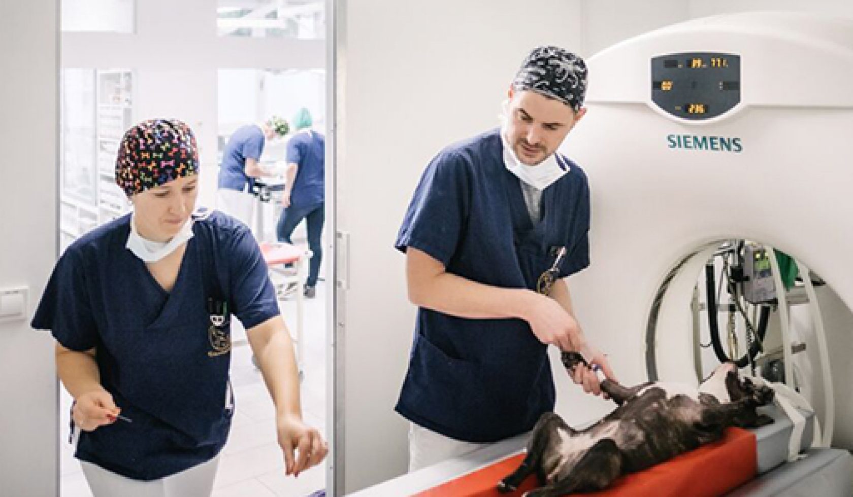 Tierarzt Mit Ct In Der Nähe tierarzt-soerensen_ct | Tierarzt Praxis Berlin