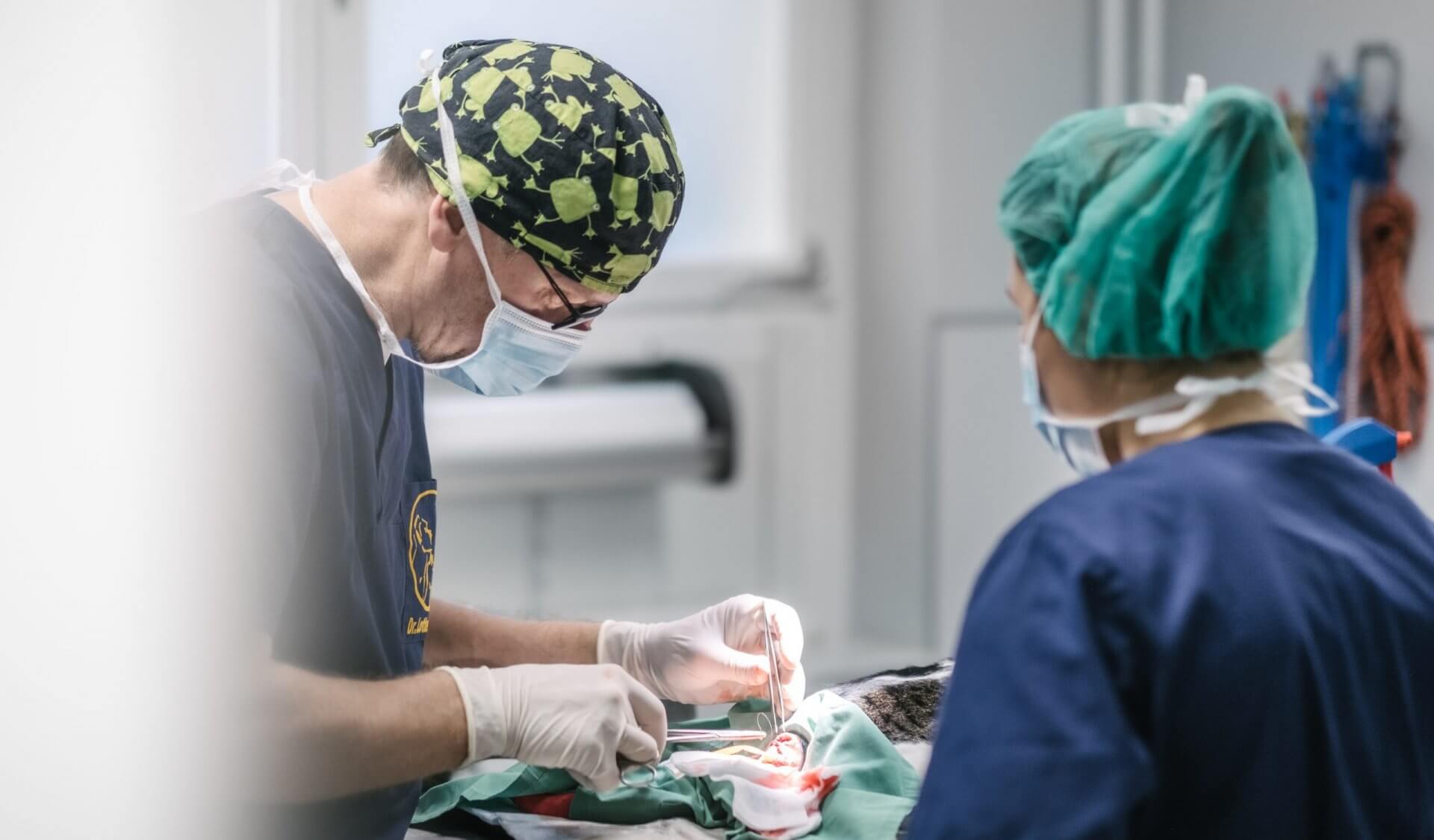 Tierarztpraxis Dr. Sörensen in Berlin - Allgemeine Chirurgie