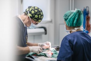 Tierarztpraxis Dr. Sörensen in Berlin - Allgemeine Chirurgie