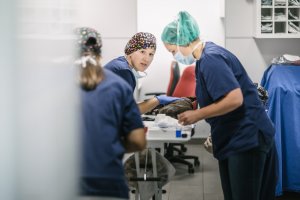 Tierarztpraxis Dr. Sörensen GmbH - Notfall