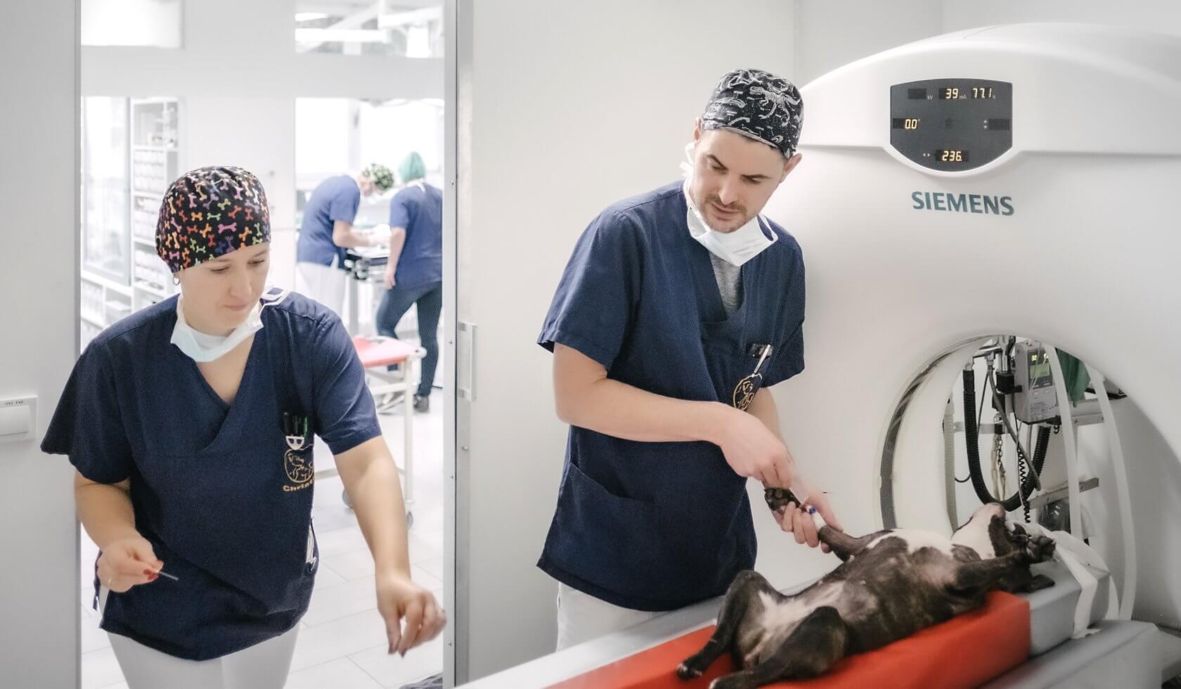 Tierarztpraxis Dr. Sörensen in Berlin - Computertomographie